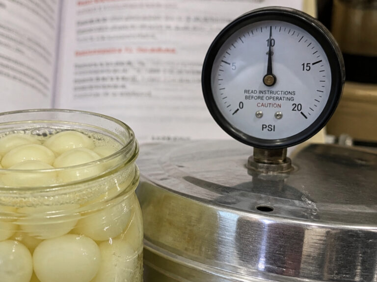 Learn How to Preserve Onions at Home for Long-Term Storage
