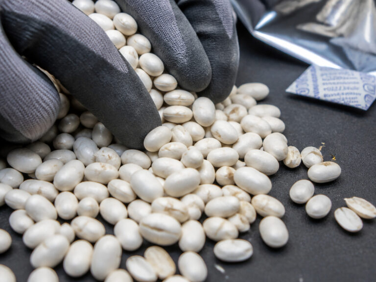 How to Preserve Dry Beans for Maximum Shelf Life & Quality