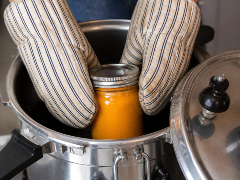 How Can You Preserve a Pumpkin: The Essential Curing Step