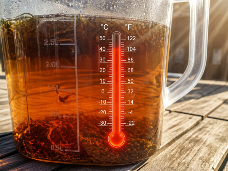 Sun Tea in Plastic Containers: Is It Safe? The 40°C Rule