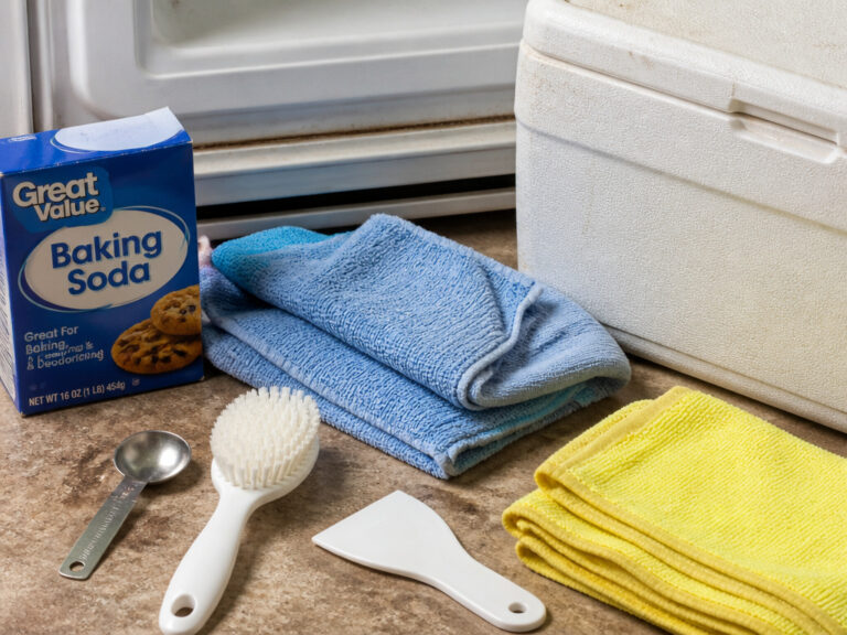 The Complete Guide on How to Clean Your Freezer and Stop Frost
